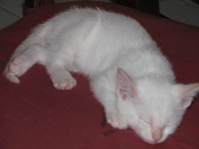 20100206 445.JPG